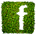 Follow us on Facebook